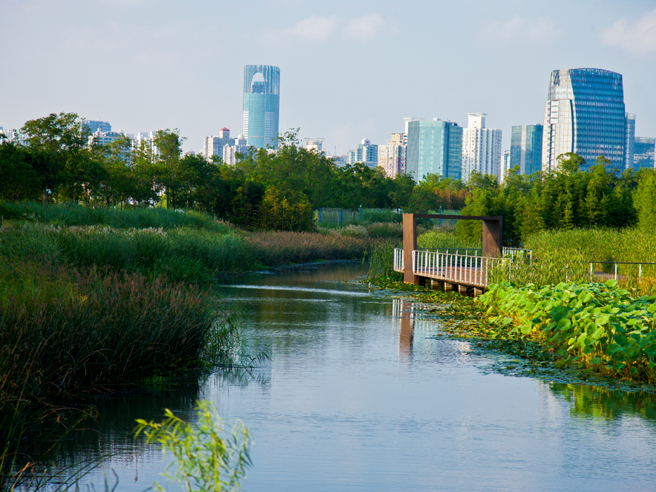 Shanghai Houtan Park by Turenscape