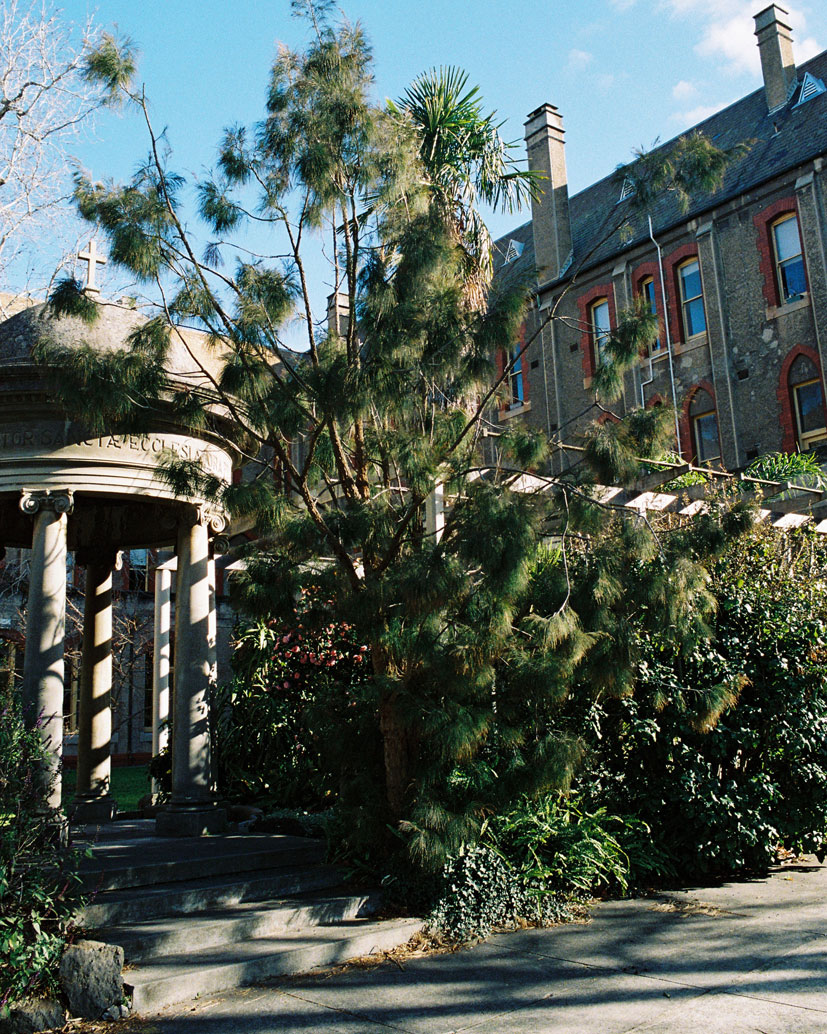 Abbotsford Convent foliage