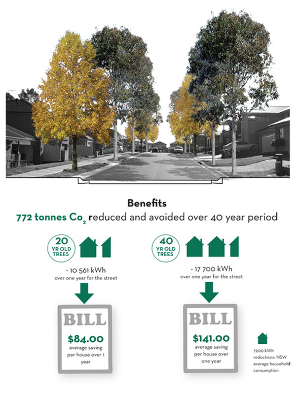 Libby Gallagher's Phd research sought to produce a sustainable street model. Image: Supplied