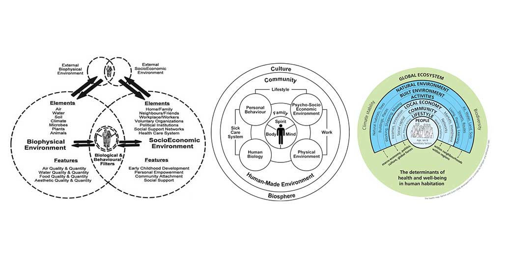 The mandala of health