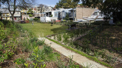 John St Reserve, Aspect Studios