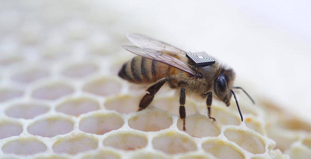 The CSIRO's Urban Living Lab will test new technologies in the "real world" of Sydney.