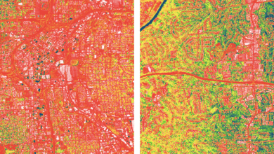 Daytime heat differential between a green suburb and a concrete downtown can be as much as 5 degrees