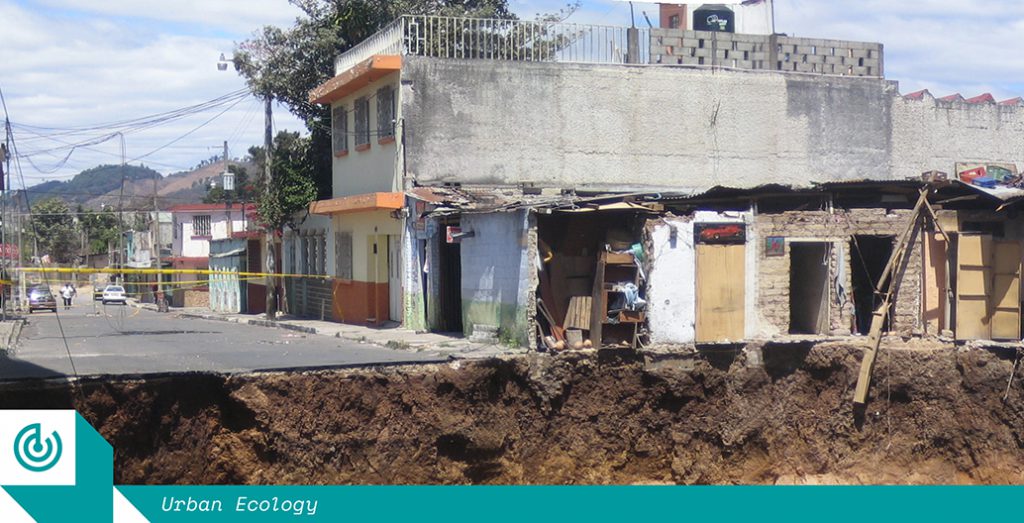 The wafer thin line between the city and the subsurface. Guatemala City 2007. Image courtesy of Eric Haddox