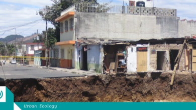 The wafer thin line between the city and the subsurface. Guatemala City 2007. Image courtesy of Eric Haddox