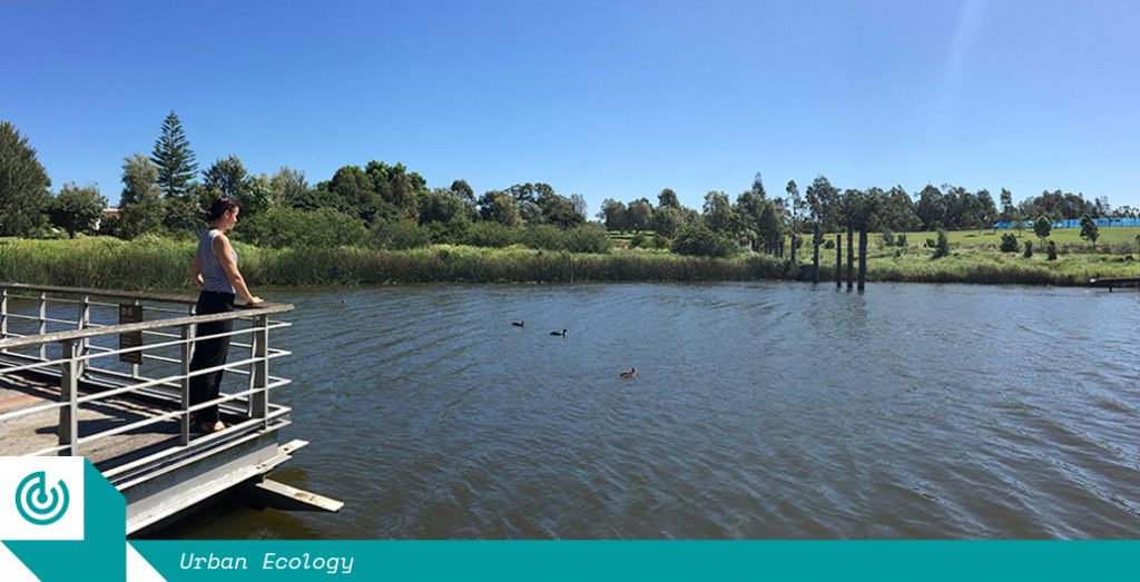 Urban ecologist Sophie Golding at Sydney Park