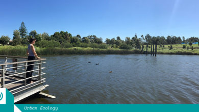 Urban ecologist Sophie Golding at Sydney Park