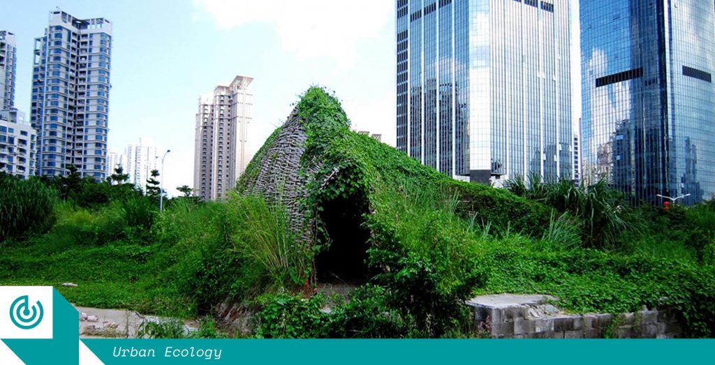 Urban ecology: design for living systems