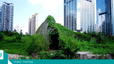 Urban ecology: design for living systems