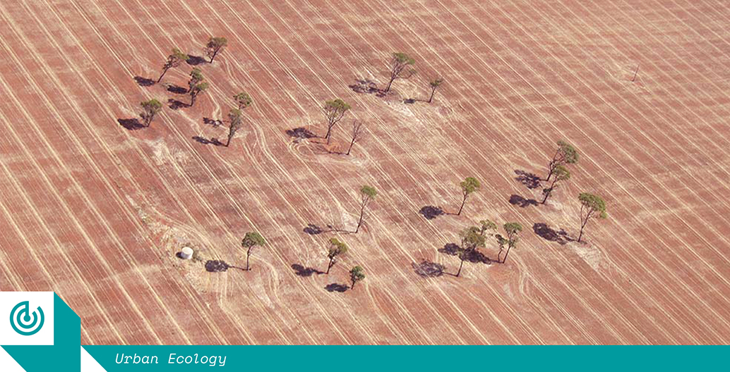 A farm where vehicle traffic has been controlled to limit soil compaction