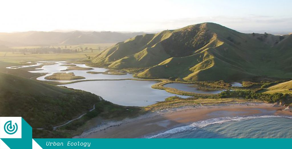 Orongo Station, New Zealand