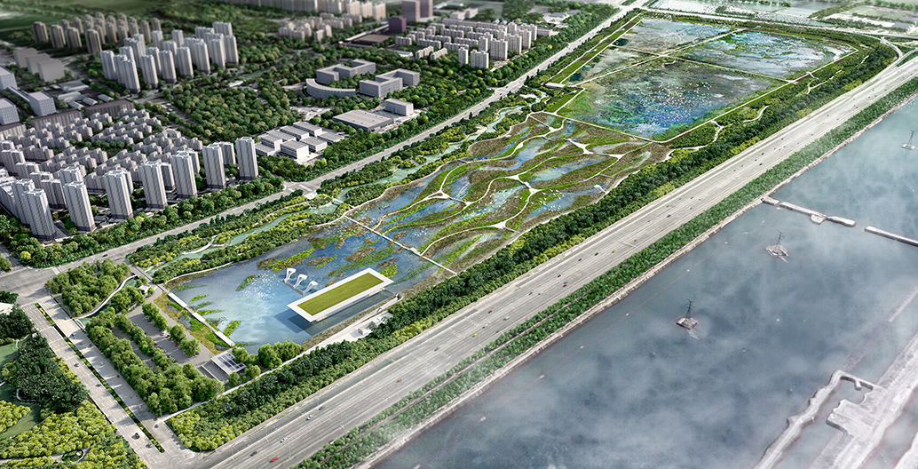 Bird Airport at Tianjin