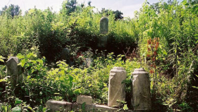 Greenwood Cemetry St Louis, prompting 'deep questions about remembrance and erasure'.