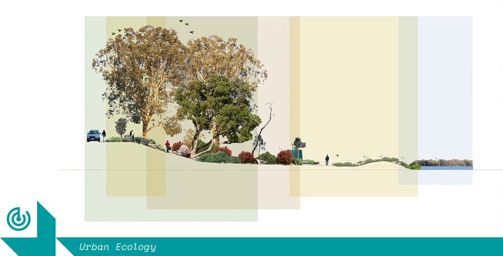 Moonee Valley Urban Ecology Park Scenario, image courtesy of Zoe Metherell.
