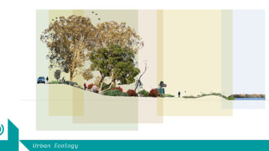 Moonee Valley Urban Ecology Park Scenario, image courtesy of Zoe Metherell.