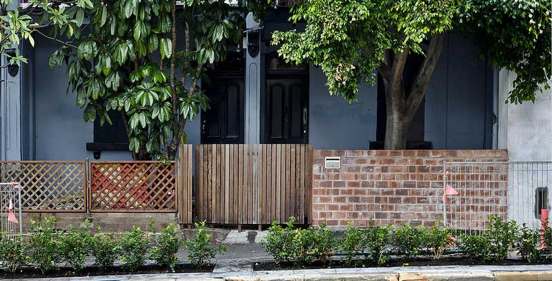 Freshly planted hedges line Cleveland Street in Redfern, Sydney.