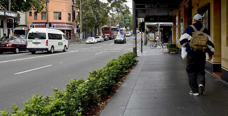 The kerbside hedging now runs for 2.3km along Cleveland Street.