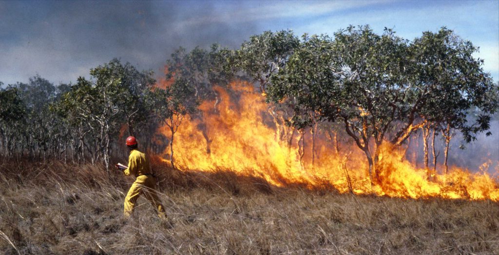 CSIRO grassfire experiment. Image courtesy of the CSIRO.