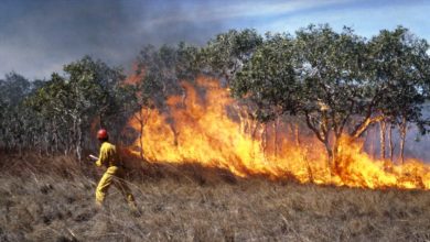 CSIRO grassfire experiment. Image courtesy of the CSIRO.