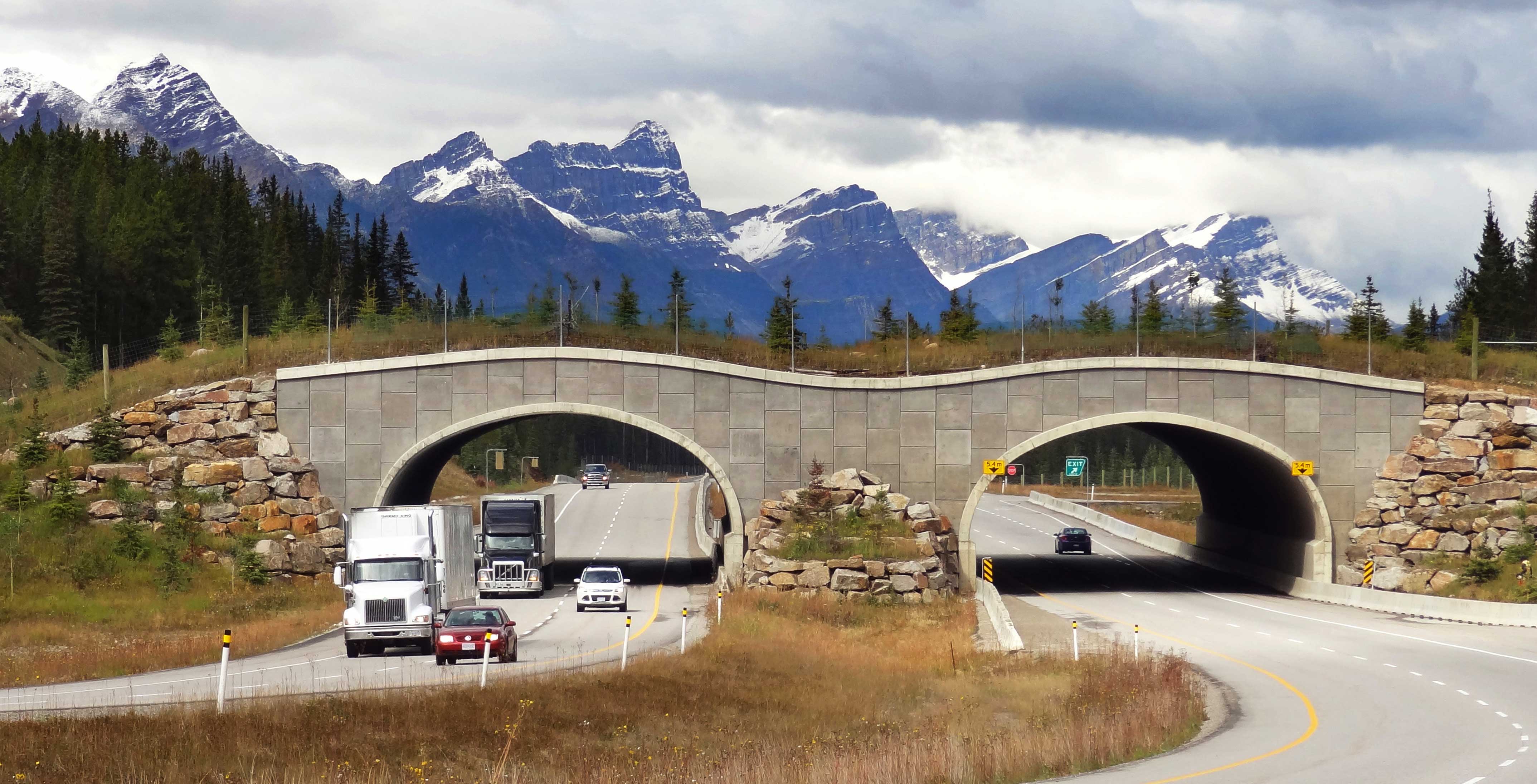 Wildlife overpass over the Trans Canada Highway between Banff and Lake Louise, Alberta.