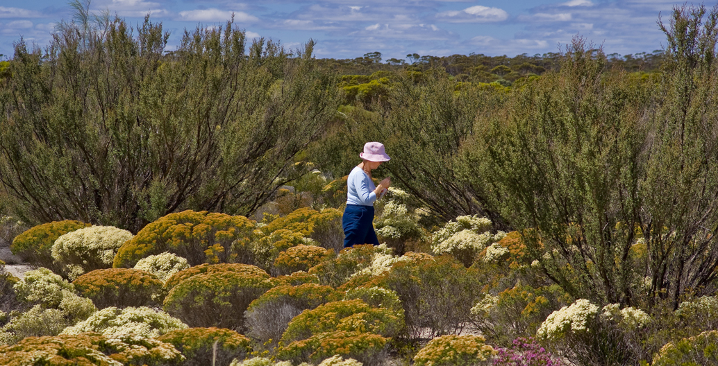 Coalseam Conservation Park. Image: Australia’s Coral Coast.