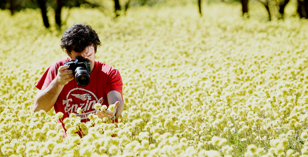 Tourist in featherflowers (Verticordia) wildflowers, near Hyden. Image: Tourism Western Australia.