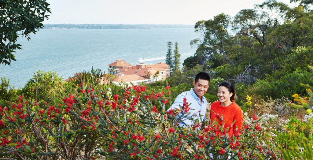 Kings Park and Botanical Garden. Image: Tourism Western Australia.