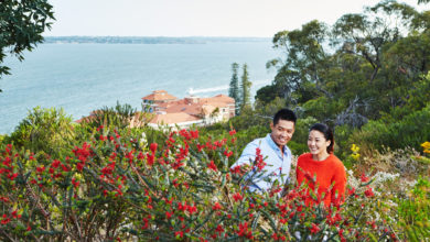 Kings Park and Botanical Garden. Image: Tourism Western Australia.