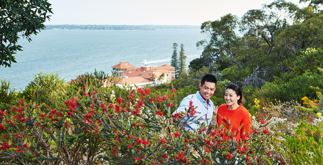 Kings Park and Botanical Garden. Image: Tourism Western Australia.