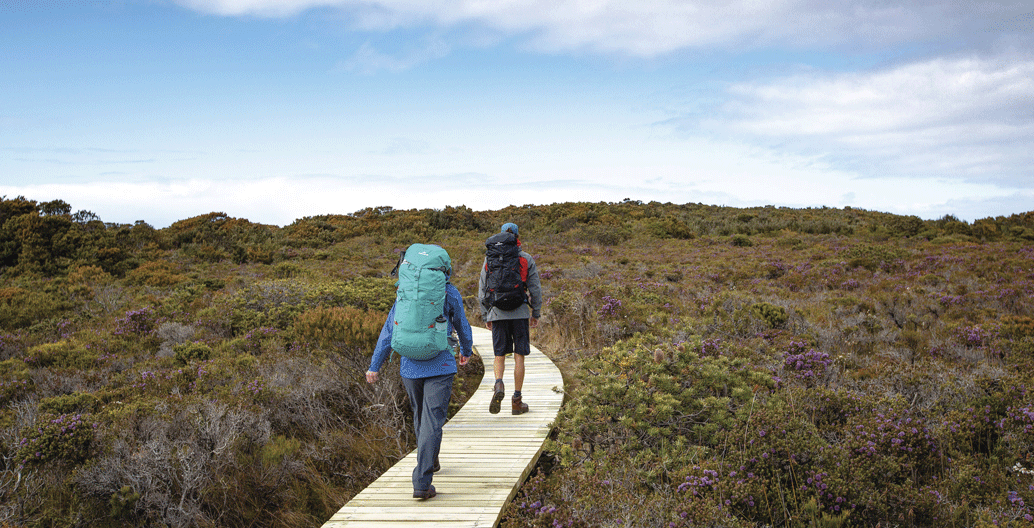 Walking the Three Capes Track. Image: Tasmania Parks and Wildlife Service
