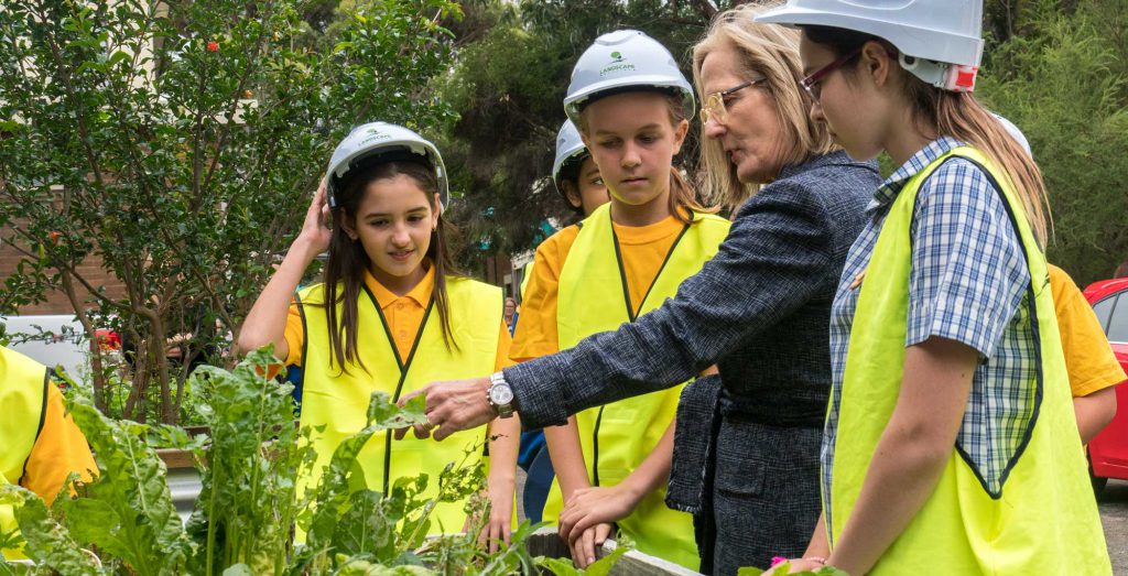 Chief Commissioner of the Greater Sydney Commission, Lucy Hughes Turnbull AO surveying Marrickville PS' freshly minted greens.