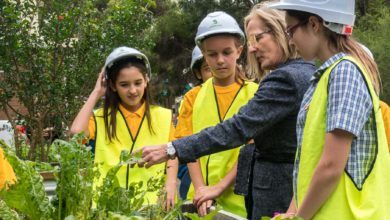 Chief Commissioner of the Greater Sydney Commission, Lucy Hughes Turnbull AO surveying Marrickville PS' freshly minted greens.