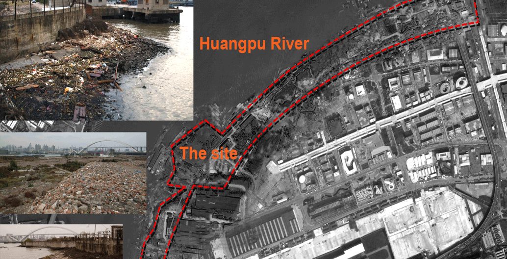 The site before regeneration.