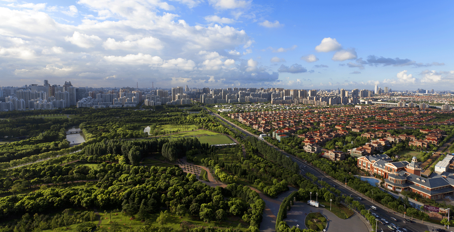Overlooking Shanghai's Century Park.