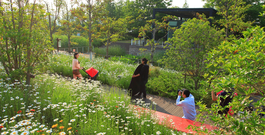 The regenerated site formed the stage for the 2010 Shanghai World Expo.