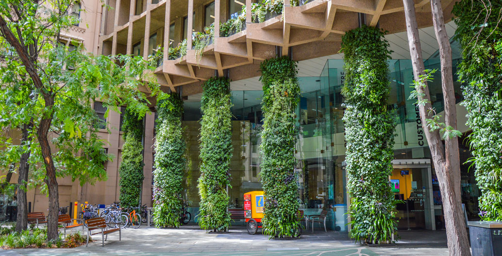Civic Landscape Architecture Award: Colonel Light Centre Forecourt Green Wall (City of Adelaide - Design & Strategy).