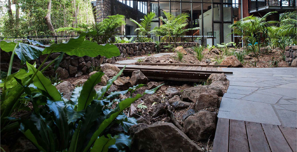 Tourism: Mary Cairncross Scenic Reserve (Guymer Bailey Landscape).