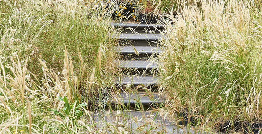 Linda Tegg ‘Grasslands‘, presented as part of the 2014 Melbourne Festival. Image: Matthew Stanton