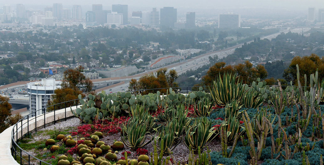 The Cactus Garden at the Getty Museum.
