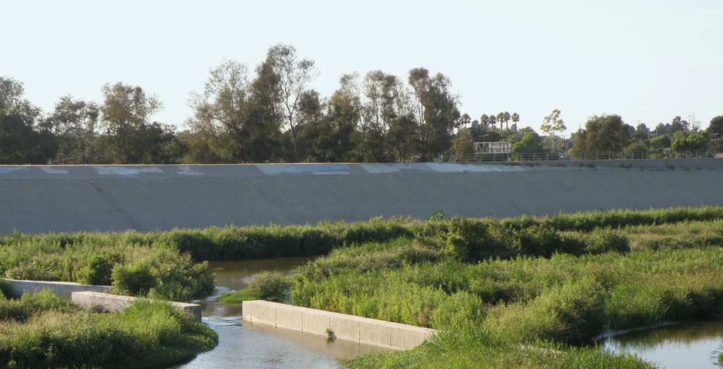 A welcome verdant patch near Willow Street Bridge. Image: Laurie Avocado.