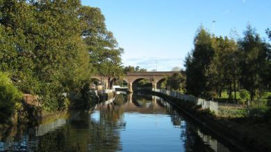 Johnstons Creek, Glebe.