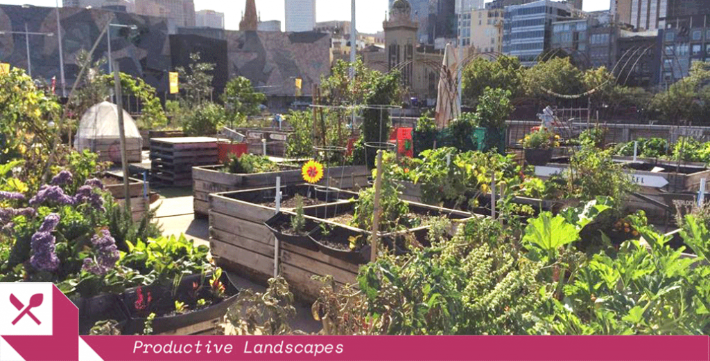 Pop Up Patch turned a disused carpark into 140 veggie crates. Image: Moreland Food Gardens Network
