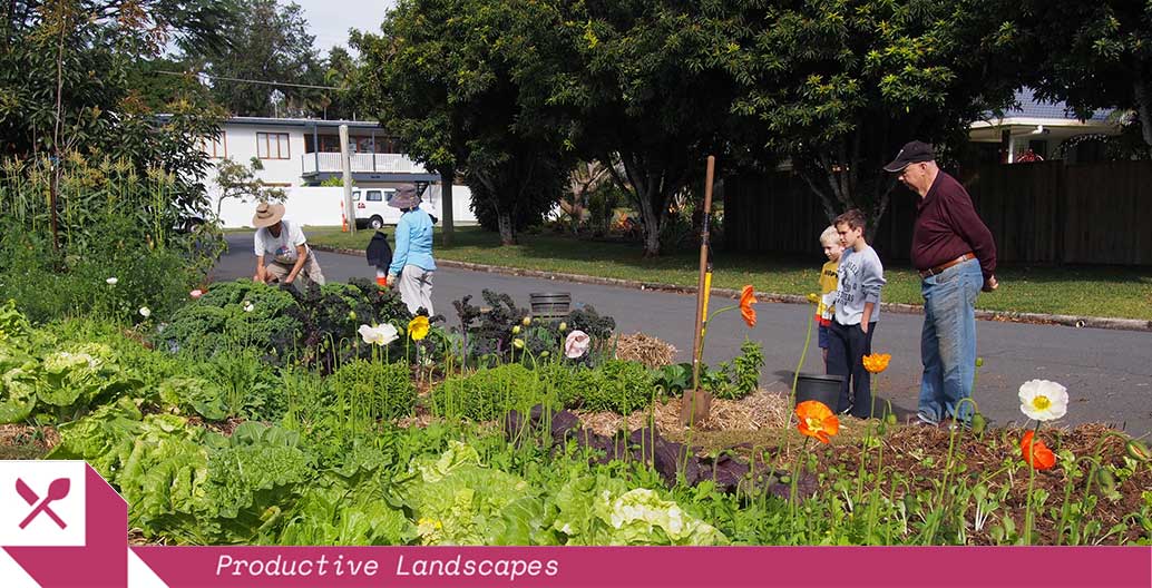 Urban Food Street has turned street verges into productive gardens in Buderim. Image: Caroline Kemp