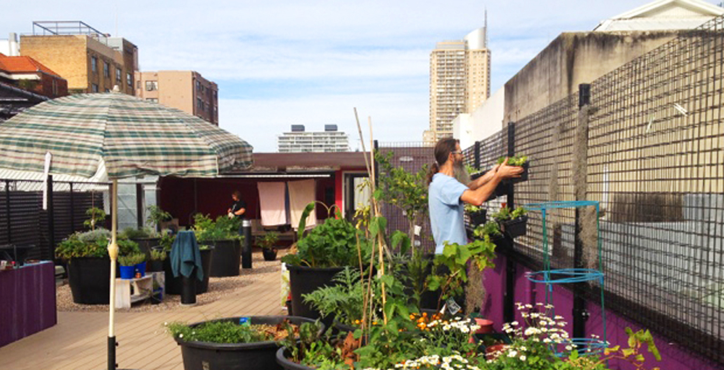 Wayside's vertical garden. Image: Saucy Onion.