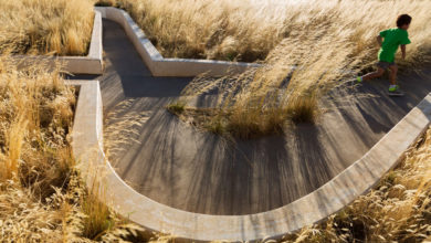 The Wootten Road Reserve Interpretation Space by Glas Landscape Architects. Image: Drew Echberg.