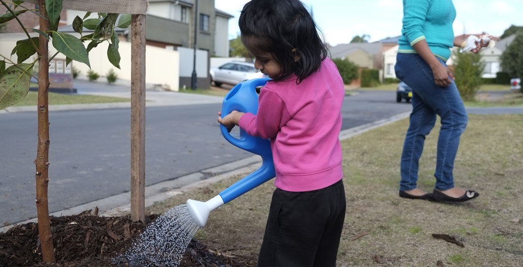 A young resident waters a freshly planted street-tree in Blacktown, NSW. Image: James Norton.