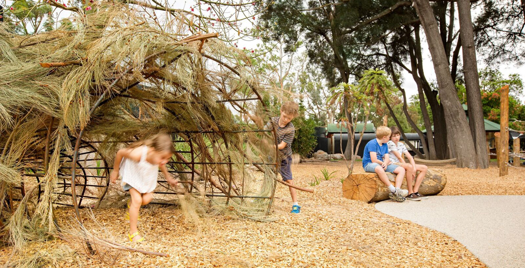 “The space evokes a feeling of peeking through the David Attenborough lens” – the AILA judges. Image: Dan Schultz.