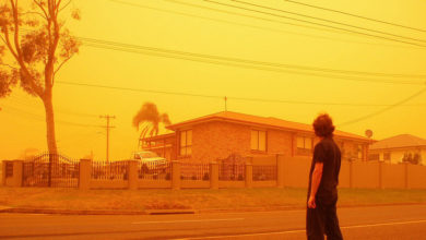 Climate is only one of many variables whose impact on the city is impossible to predict