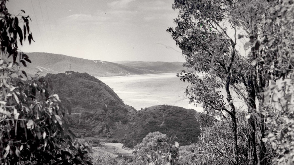 ‘At the end of the little track running off beyond the terrace, through the trees we looked down at Grassy Creek’ (1947). Image: SLV.