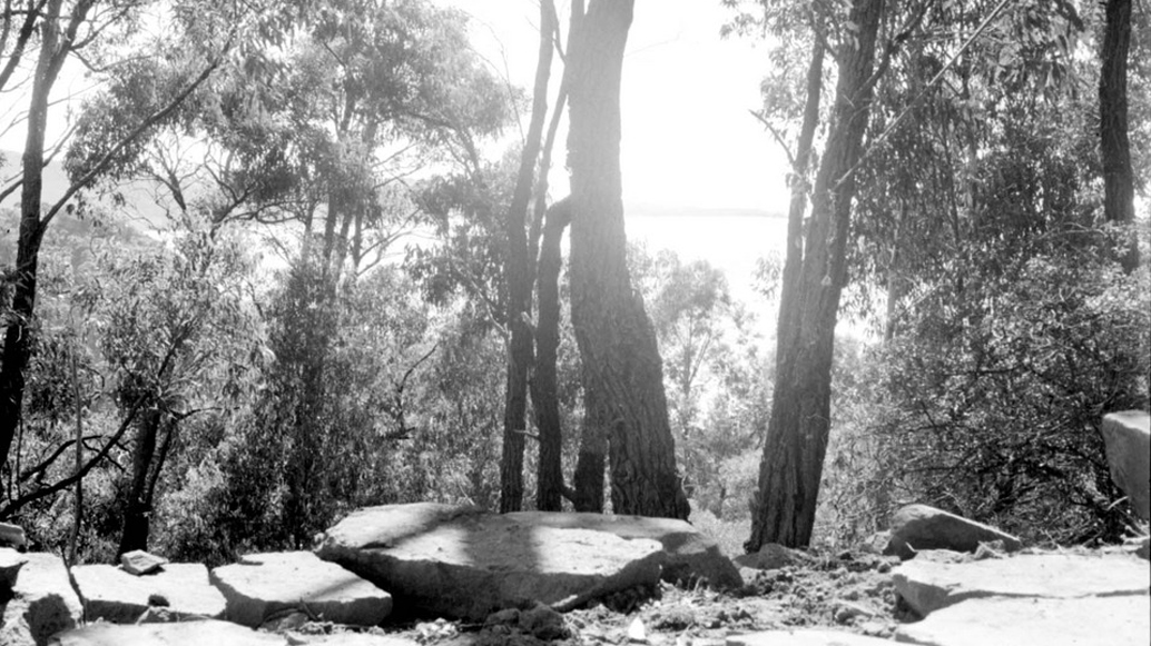 ‘East Point. Terrace. Looking to [L]aghton[?]’ (1947). Image: Edna Walling Collection, SLV.